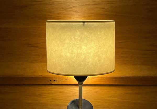 Lamp Shade 667