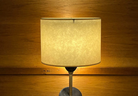 Lamp Shade 667
